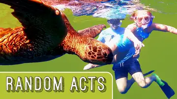 Random Acts