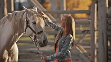 Gift Horse