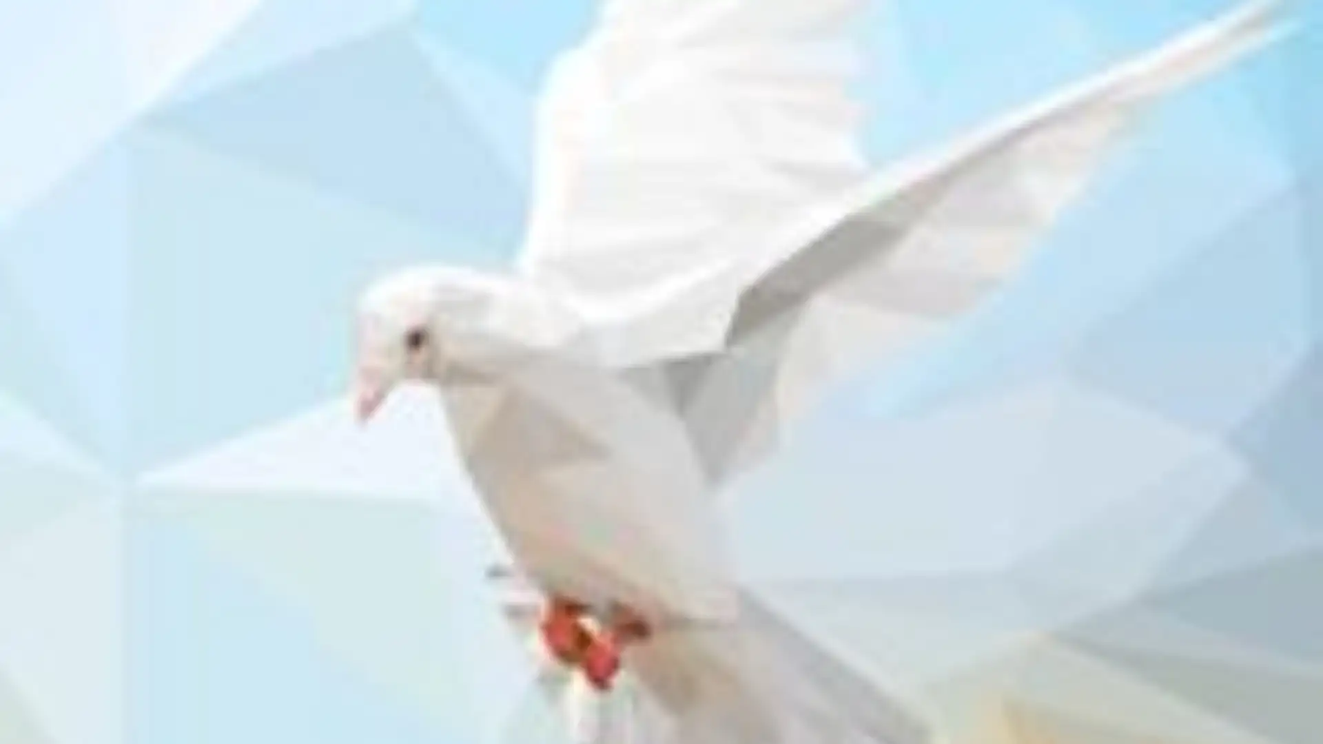 Waging Peace