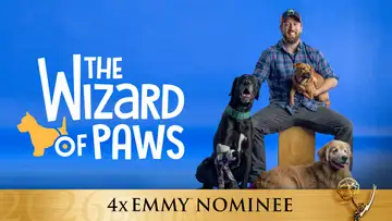 The Wizard of Paws