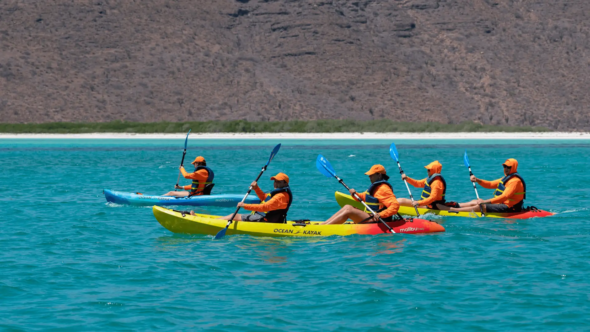 Paddles Away!