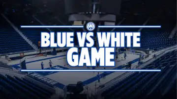 Blue and White Game
