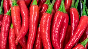 Why Do You Enjoy Food That Sets Your Mouth on Fire?